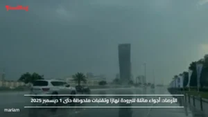 الأرصاد.. أجواء مائلة للبرودة نهارًا وتقلبات ملحوظة حتى 1 ديسمبر 2025